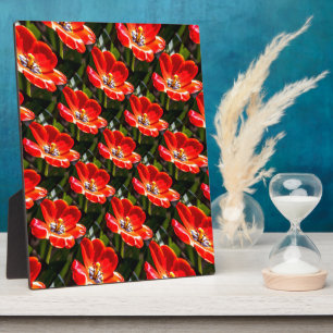 Red Tulips Pattern Plaque