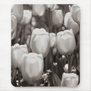 Red tulips photographic print. mouse pad