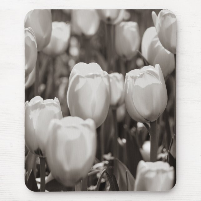 Red tulips photographic print. mouse pad (Front)