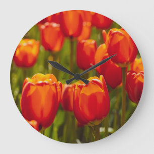 Red tulips photographic print. photo print large clock
