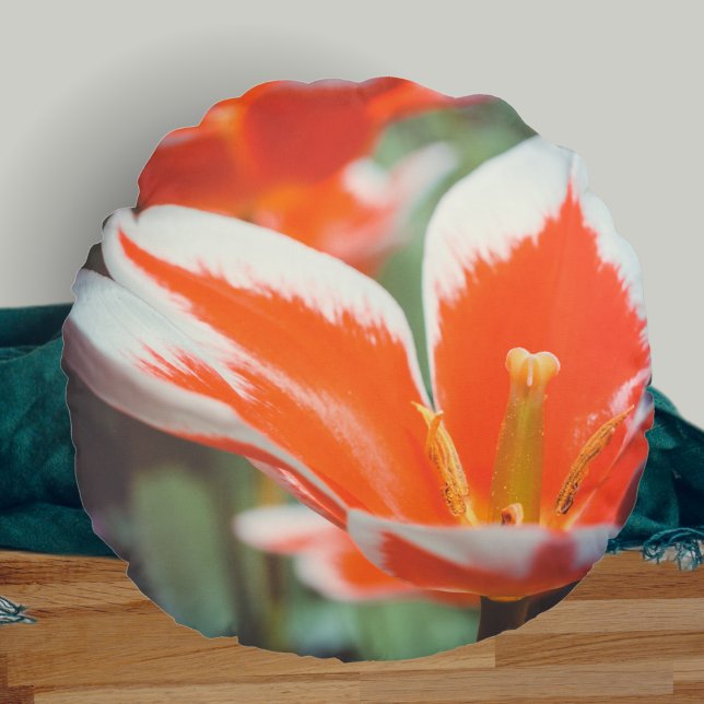 Red tulips round cushion (Creator Uploaded)