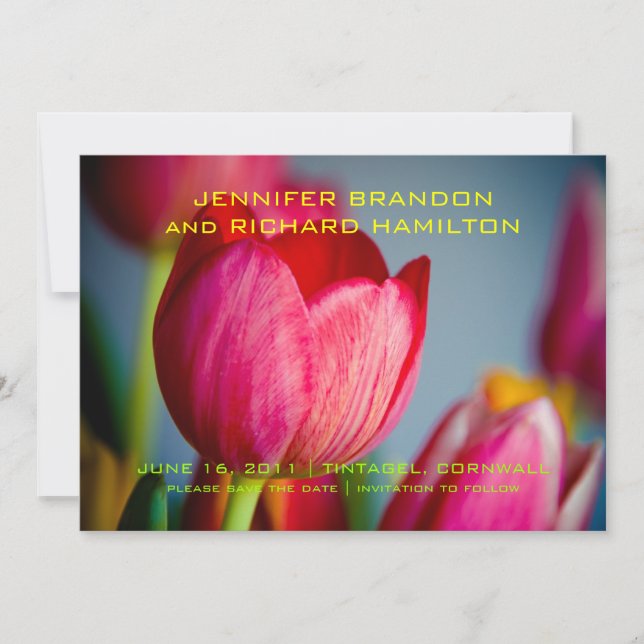 Red Tulips • Save the Date Announcement (Front)