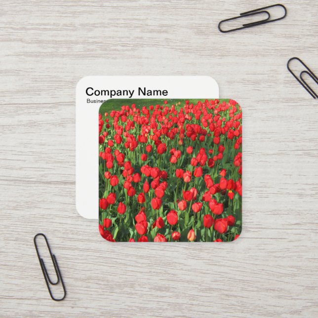 Red Tulips Square Business Card (Front/Back In Situ)