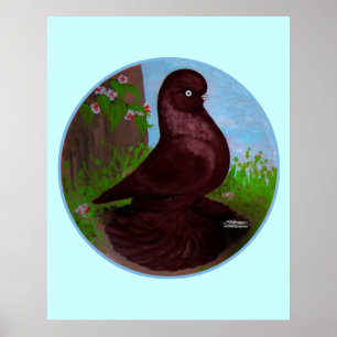 Red Tumbler Pigeon Circle Poster