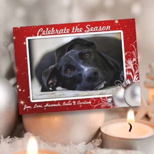 Red Twinkling Stars Christmas Big Photo Cards