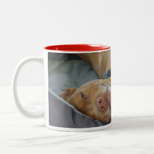 Red Two-Tone Coffee Mug