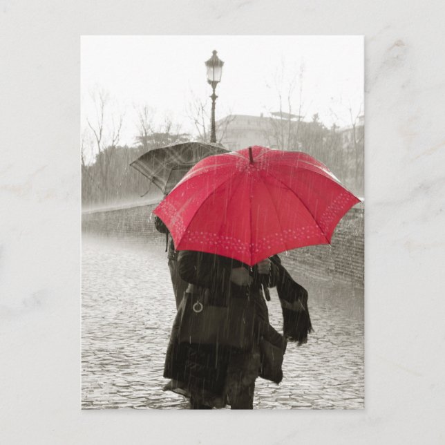 Red Umbrella Black and White Photography Postcard (Front)