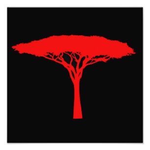 Red Umbrella Tree Photo Print