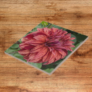 Red Variegated Dahlia Bloom Floral Ceramic Tile
