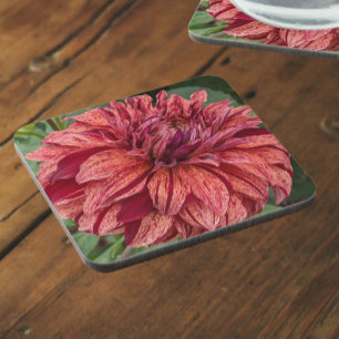 Red Variegated Dahlia Bloom Floral Coaster