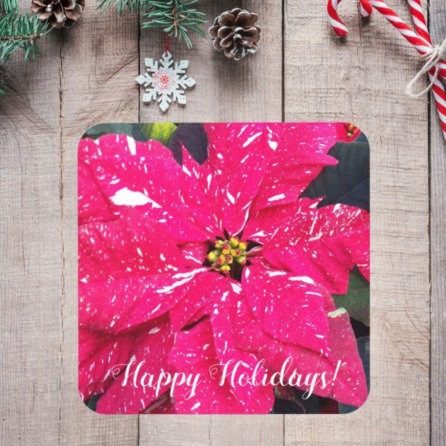 Red Variegated Poinsettia Floral Holiday Coaster (In Situ Holiday)