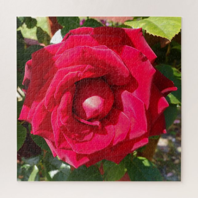 Red Velvet Bud Jigsaw Puzzle (Vertical)