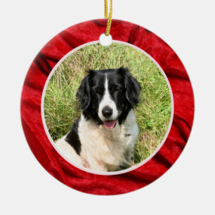 Red Velvet Custom Name Photo Pet Ceramic Ornament