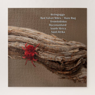 Red Velvet Mites / Rain Bug Jigsaw Puzzle