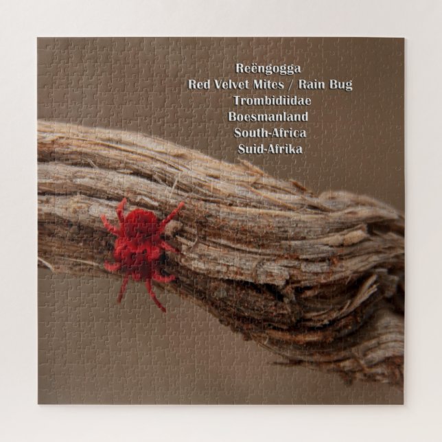 Red Velvet Mites / Rain Bug Jigsaw Puzzle (Vertical)