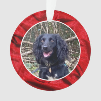 Red Velvet Pet Photo Christmas Ornament