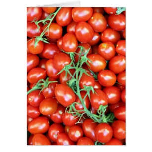 red vine tomatoes