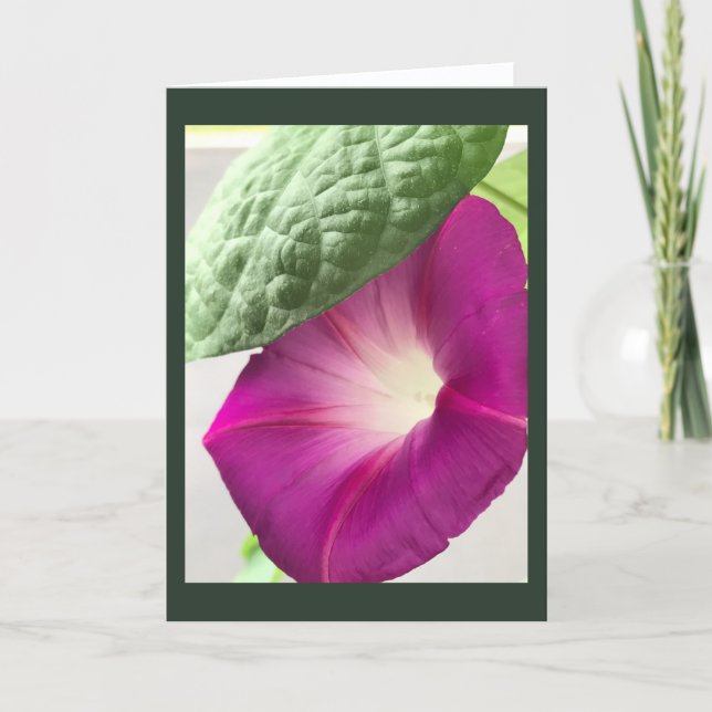 Red-Violet Morning Glory Blank Card (Front)