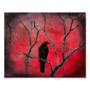 Red Vision Photo Print