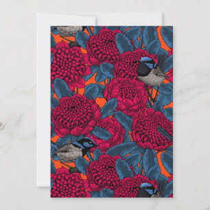 Red waratah and fairy wrens