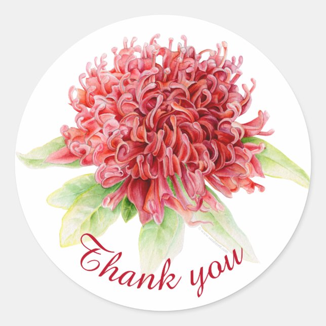 Red waratah botanical thank you wedding sticker (Front)
