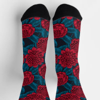Red waratah flowers
