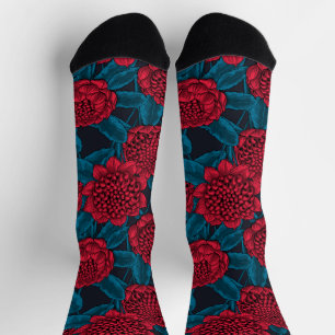 Red waratah flowers socks