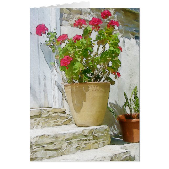 Red watercolor geranium (Front)