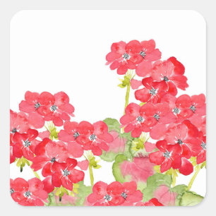 Red Watercolor Geraniums Square Sticker