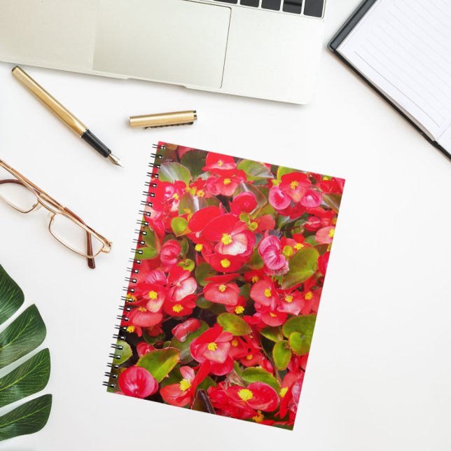 Red Wax Begonias Floral Notebook (In Situ)