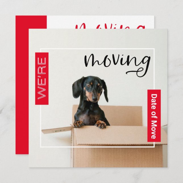 Red We're Moving Dachshund Dog in Box Card (Front/Back)