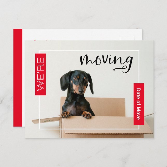 Red We're Moving Dachshund Dog in Box Postcard (Front/Back)