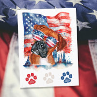 Red White and Blue Boxer Dog American 4th of July