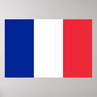 Red White and Blue Flag of France