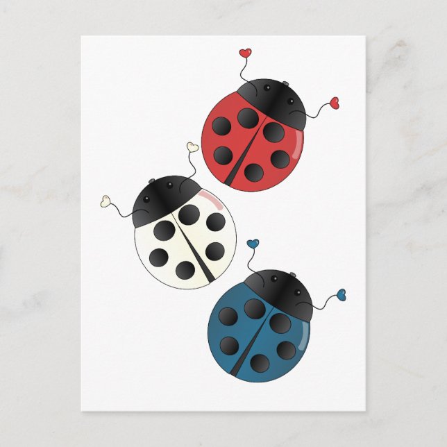 Red White and Blue Ladybugs Postcard (Front)