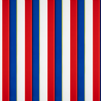 Red White and Blue Leggings