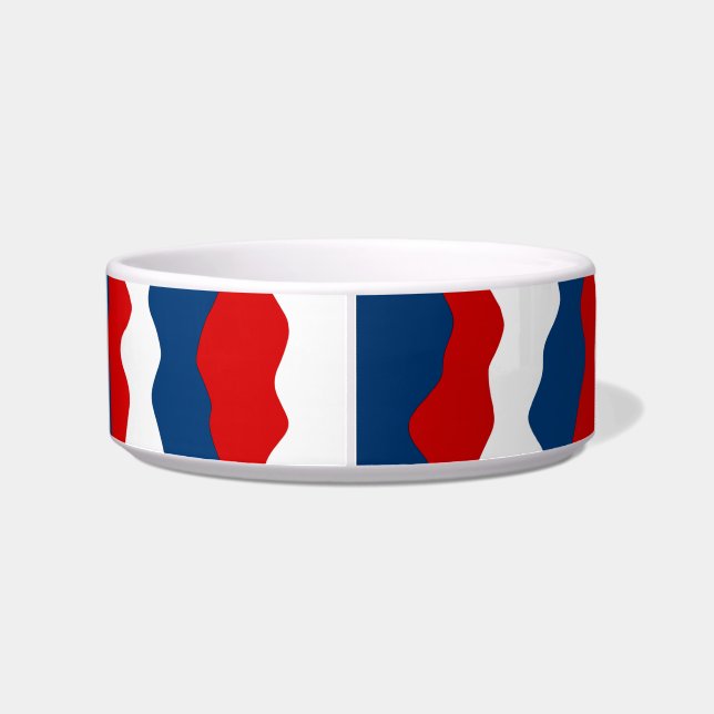 Red, White and Blue Pattern Bowl (Back)