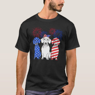 Red White Blue Dachshund Dog Usa Flag Firework 4th T-Shirt
