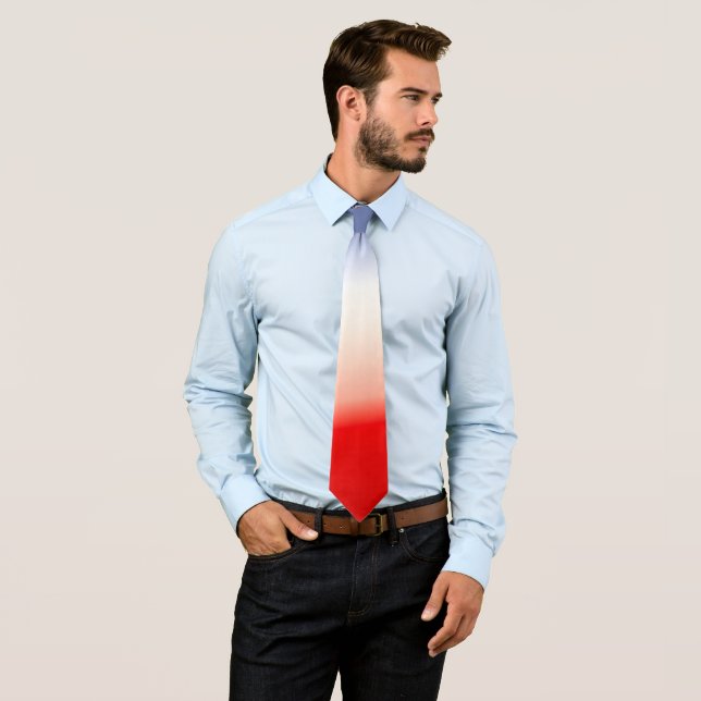 Red, White, Blue Spectacular Tie (In Situ)