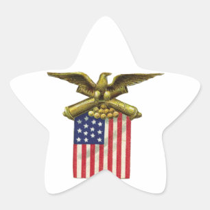 Red White & Blue Star Sticker