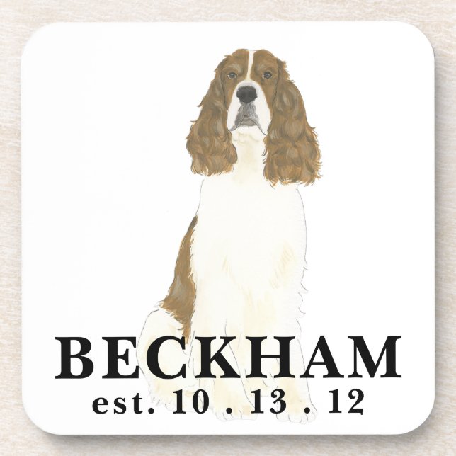 Red & White English Springer Spaniel Coaster (Front)