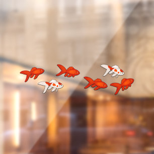 Red & White Fantail Goldfish Swimming