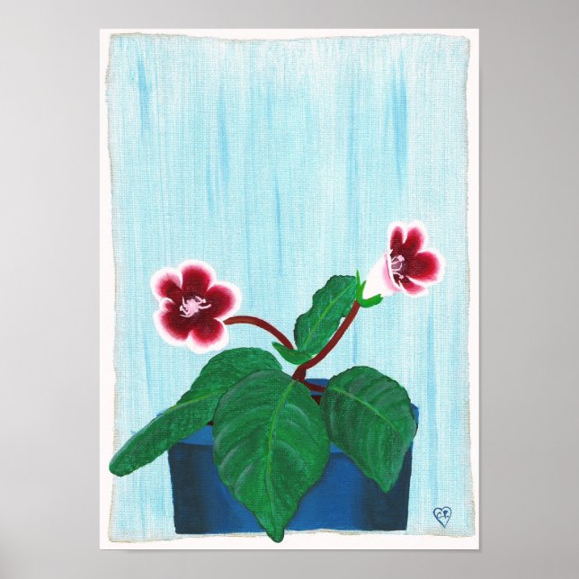 Red White Gloxinia African Violet Flower Poster (Front)