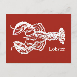 Red & White Lobster Postcard