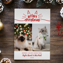 Red White Meowy Christmas 2 Cat Photos Christmas