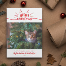 Red White Meowy Christmas - Cat Christmas Photo