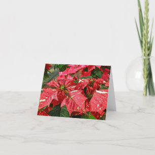 Red & White Poinsettias Note Card