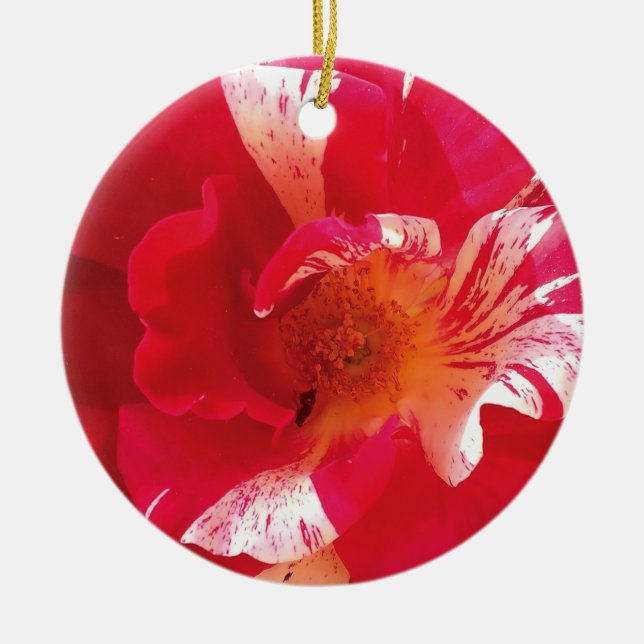 Red & White Rose Photo Circle Ornament (Front)