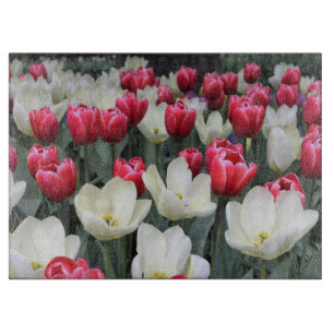 Red & White Spring Tulips Cutting Board