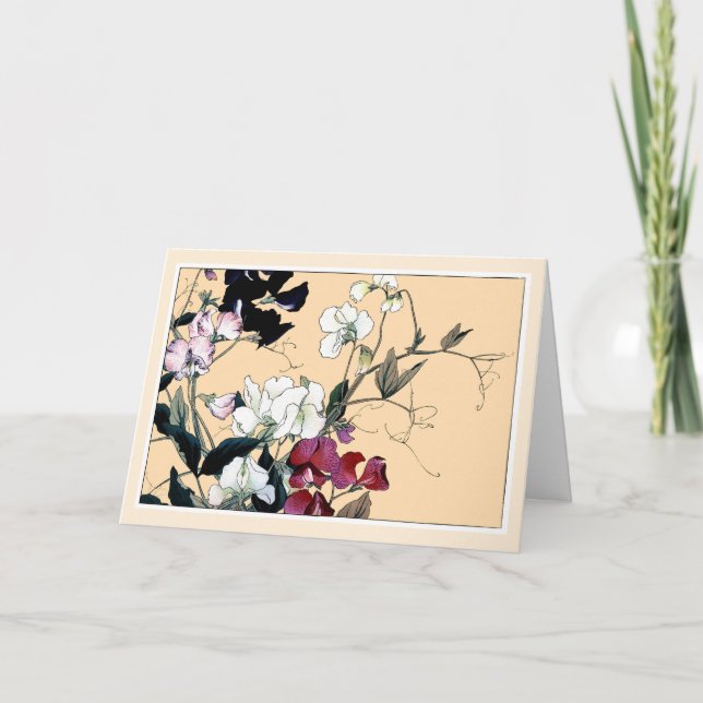 Red & White Sweetpeas, Botanical Art Card (Front)
